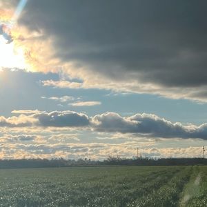 Meet your Posher, Stevie